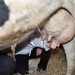 La Fattoria Farma