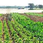 La Fattoria Otranto