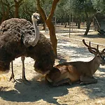 La Fattoria *
