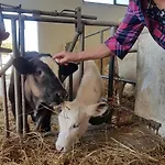 Farma La Fattoria