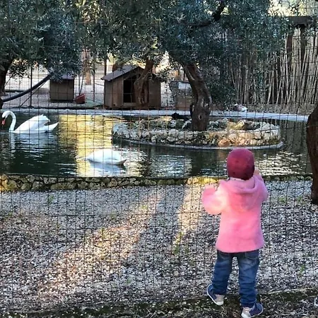 La Fattoria *
