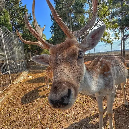 La Fattoria Alloggio per agriturismo