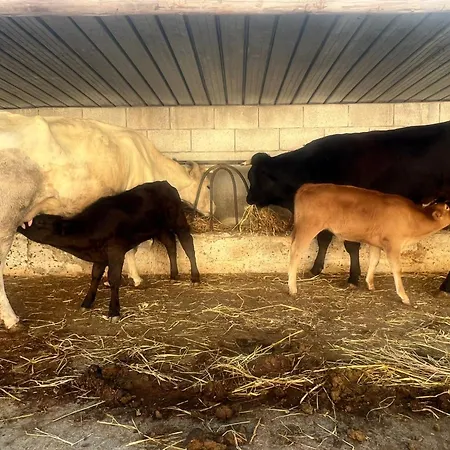 Farmház La Fattoria *