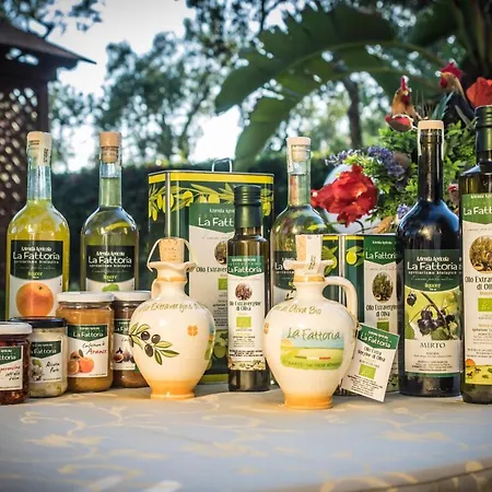 Alloggio per agriturismo La Fattoria *