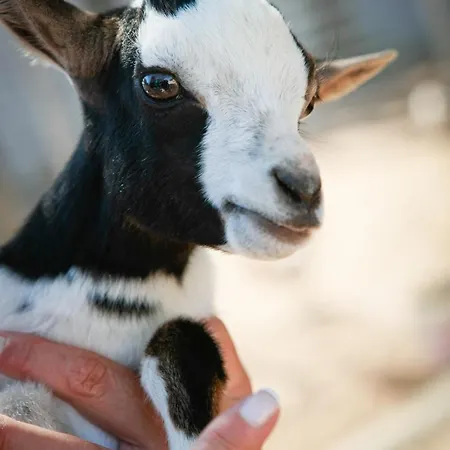 Farmház La Fattoria Otranto
