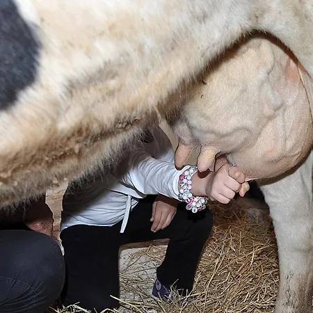 La Fattoria Farmház