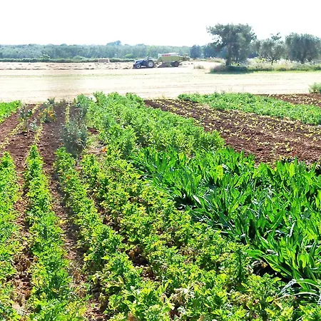 La Fattoria Otranto