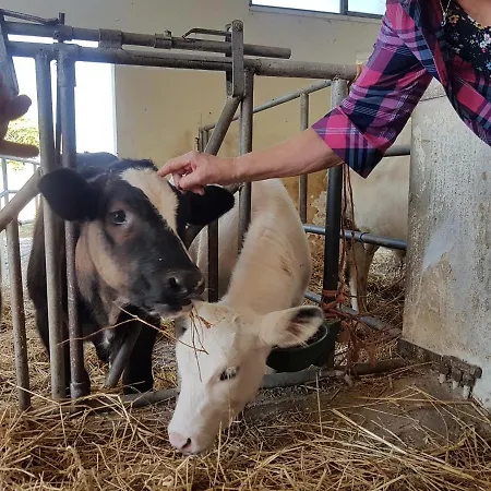 Farmház La Fattoria