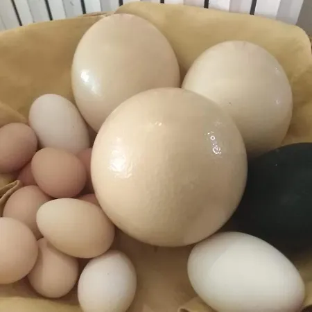 La Fattoria * Otranto