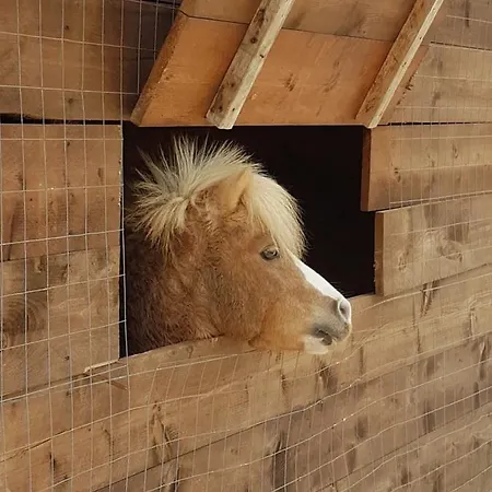 Alloggio per agriturismo La Fattoria Otranto