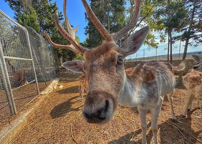La Fattoria 农家乐