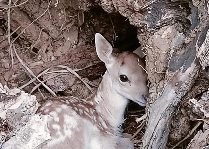 La Fattoria Séjour à la ferme Otrante
