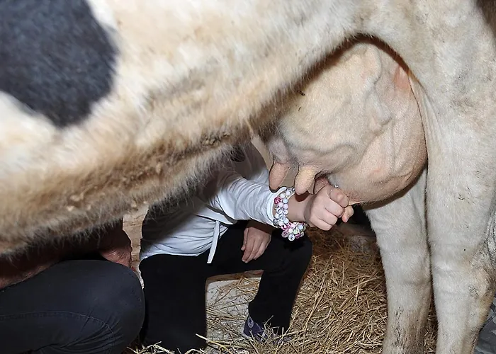 La Fattoria Séjour à la ferme