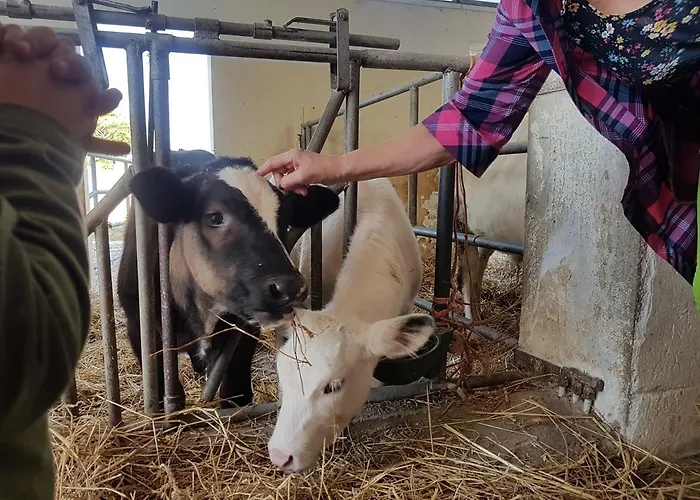 Vakantieboerderij La Fattoria