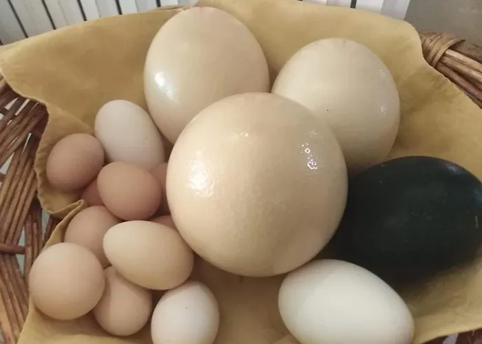 La Fattoria * 奥特朗托