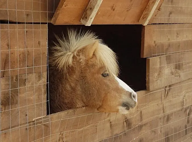 农家乐 La Fattoria 奥特朗托